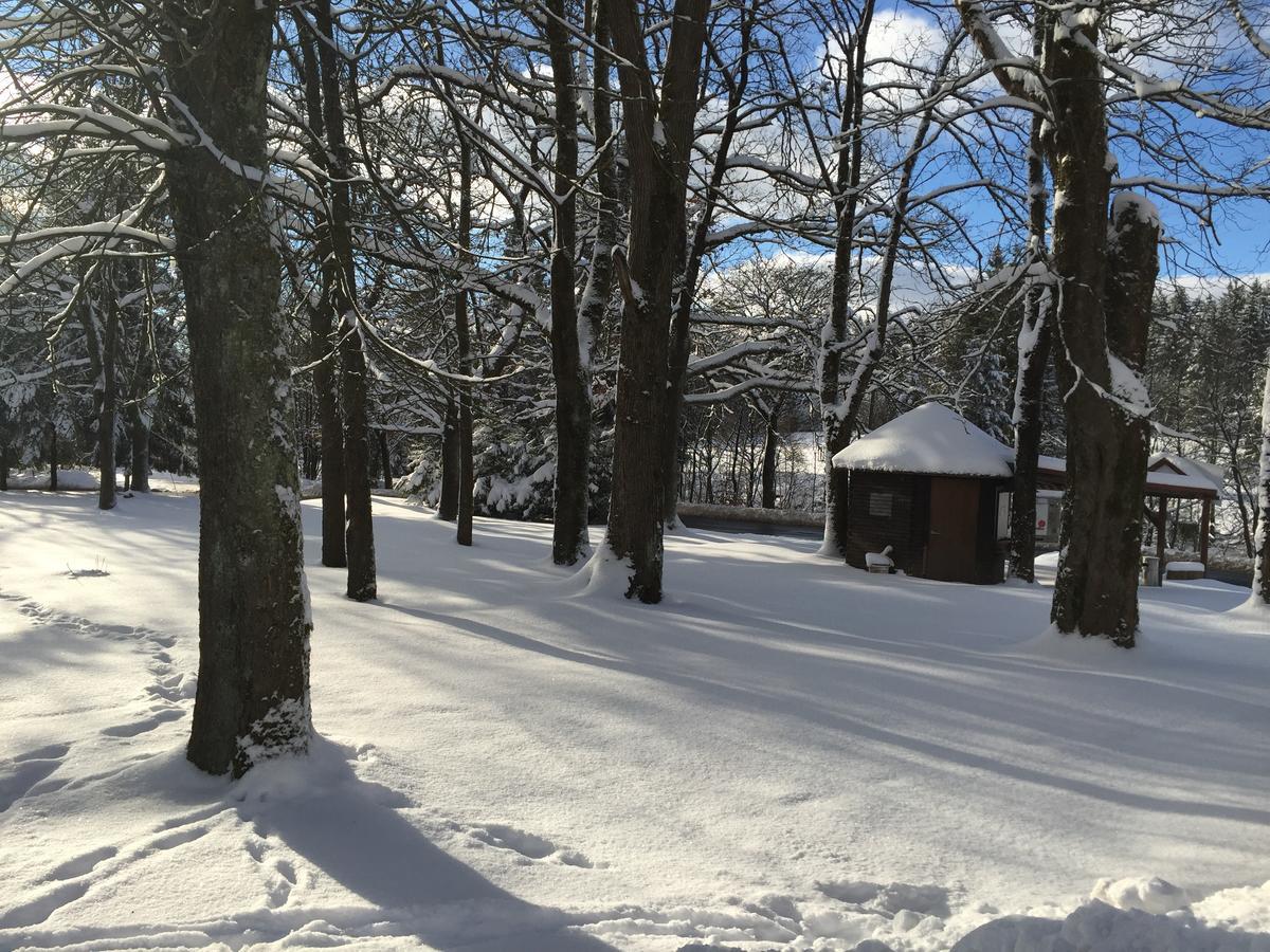 Hotel Restaurant Hohe Tanne Grossbreitenbach ภายนอก รูปภาพ